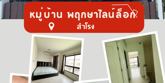 ขายบ้านพฤกษา ไลน์ล๊อก สำโรง